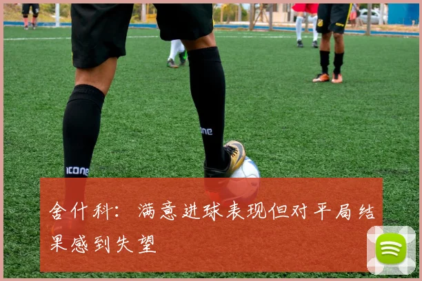 舍什科：满意进球表现但对平局结果感到失望
