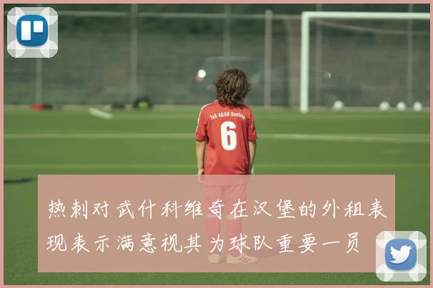 热刺对武什科维奇在汉堡的外租表现表示满意视其为球队重要一员