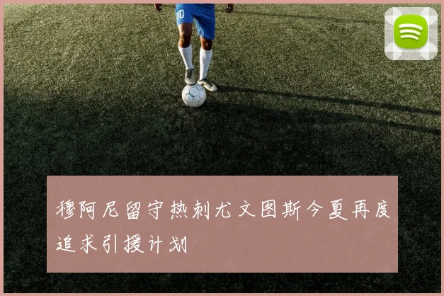 穆阿尼留守热刺尤文图斯今夏再度追求引援计划